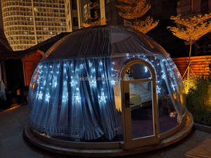 2022 nuevo restaurante al aire libre PC policarbonato transparente vidrio iglú cúpula geodésica tienda del proveedor - Product Image 3