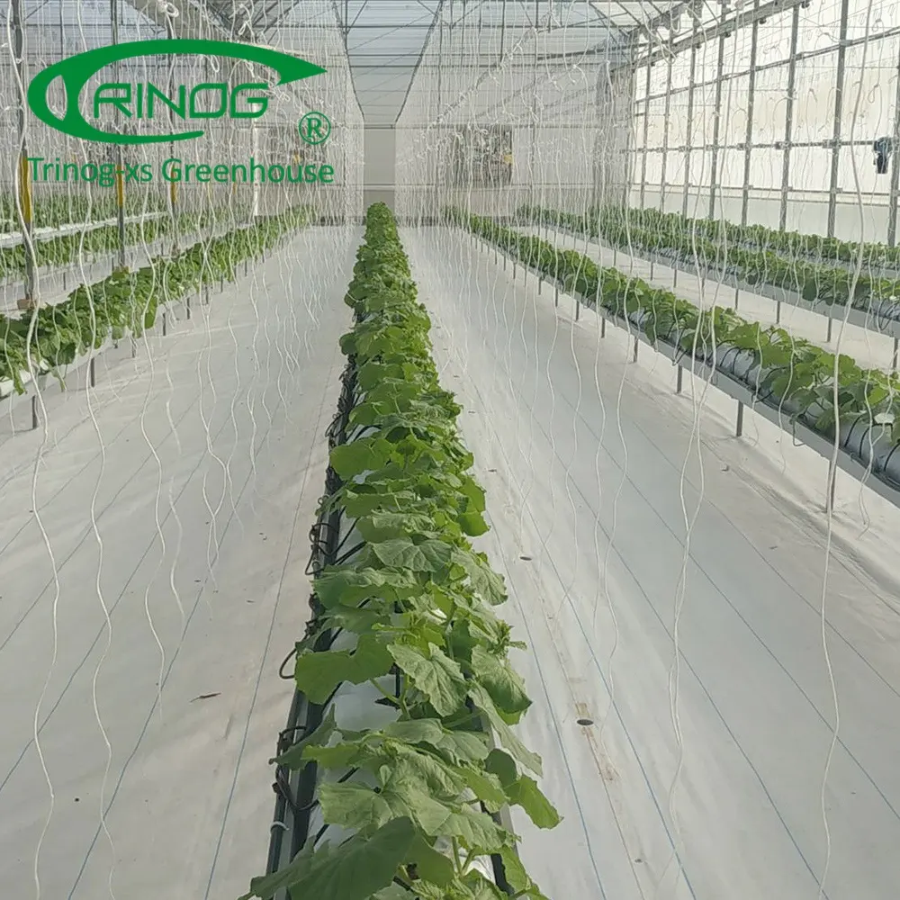 Сельскохозяйственные кубики для выращивания растений Trinog, система aquaponics, овощи, вишня, Томаты, гидропонная система
