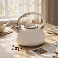 Bouilloire à eau sifflante en métal de haute qualité de 3.0 litres conception de dessus de poêle à fond unique pour le thé et le soudage bouilloire à thé de qualité supérieure