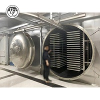 1000Kg Batch Vriesdroger Voor Fruitproductie Voor Aardbeien Bosbessen Appels Citroenen Bananen Mango 'S Sleutelmachine Met Mixer
