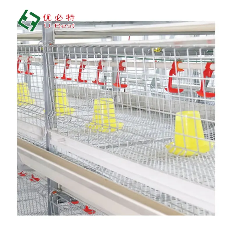 Good Quality Poultry Farming Equipment H/A Type Broiler Farm Equipment Automatic Broiler Cage System