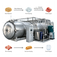 Commerciële vacuümvriesdroger, lyofilisator, voedselveilige vriesdroogmachine voor fruit, groenten en voedselproductielijn