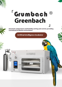 Hot bán tùy chỉnh nhỏ năng lượng mặt trời bò sát trứng lồng ấp với tính năng an toàn nở máy - Product Image 2