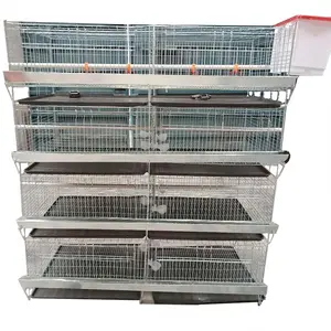 Cage de poulet à 2 niveaux en acier, étagères stepper pour poules, utilisé