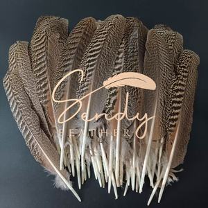 Plumas de pavo real naturales 25-30-35cm, plumas de alas moteadas de pavo real para tocado de baile, tocado, mochila, accesorio de disfraz - Product Image 1