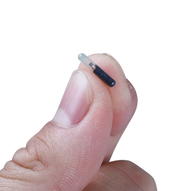 Cheap 134.2khz FDX-B HDX ISO11785/4 Bioglass Implantable Microchip RFID Transporter for Pets Animal Livestock Electronic ID