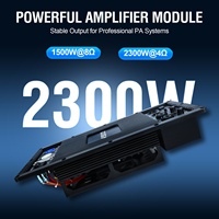 Module d'amplificateur mono classe D 2500DT 2300W, 1500W sous 8 ohms, amplificateur professionnel avec entrée XLR pour subwoofer actif PA