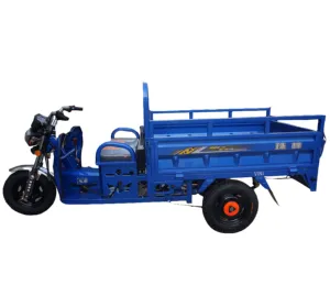 Tricycle électrique à moteur agricole, petit camion, pour adultes, 1 pièce, camion agricole, véhicule pas cher - Product Image 1