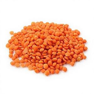 Excellente qualité de haricots Masoor entiers séchés biologiques en vrac provenant d'un fournisseur fiable - Product Image 1