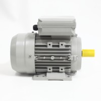 Moteur en cuivre pur série ML90L-2 de haute qualité, monophasé à démarrage par condensateur, CE ISO, boîtier en aluminium pour pompes et ventilateurs