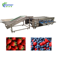 Machine de tri de fruits Shepody en acier inoxydable 304 pour pommes, avocats et fraises, idéale pour les usines de transformation de fruits