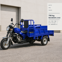 Tricycle à essence robuste à trois roues pour le transport de marchandises, capacité de charge de 700 kg, capacité de montée de 25 degrés, pour la livraison en zone rurale