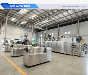 Línea de Producción Industrial Automática de Snacks Fritos y Acolchados Sunway, Máquina para Hacer Snacks Fritos, Fabricante Profesional - Product Image 6