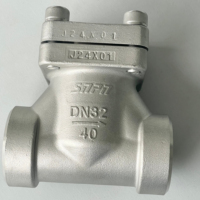 Válvulas de Retención Criogénicas de Alta Resistencia DN 32MM SS304 316 para Agua, Aceite y Oxígeno DH61F-40P con Válvula de Bola PTFE