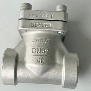 Válvulas de Retención Criogénicas de Alta Resistencia DN 32MM SS304 316 para Agua, Aceite y Oxígeno DH61F-40P con Válvula de Bola PTFE - Product Image 1