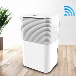 Home 12L wardrobe basement commercial clothes drying air portable dehumidifier low noise refrigerant dehumidifier