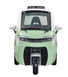 Véhicules électriques neufs à carrosserie fermée certifiés CEE, tricycle électrique à basse vitesse, brommobiel L2e <span class=keywords><strong>sans</strong></span> <span class=keywords><strong>permis</strong></span> de conduire - Product Image 1