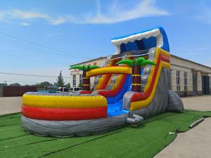 Jeux de glissades aquatiques gonflables Dolphin, équipement de parc de trampoline, glissade d'évasion, aire de jeux gonflable, château gonflable pour enfants - Product Image 6