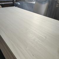Lattes de lit en bois de Paulownia massif et durable, finition lisse, support de matelas en bois pour lit de dortoir, mobilier de chambre d'hôtes, vente en gros