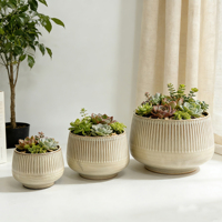 Pot de fleurs pour plantes succulentes, fabrication directe d'usine, durable, imperméable, fait à la main, résistant aux intempéries, pots en céramique pour ornement de jardin moderne