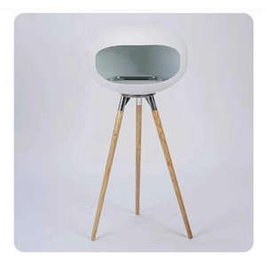 Mini Mesa manual moderna, quemador de bioetanol, chimeneas interiores de acero con control remoto para aplicación de Villa - Product Image 5