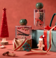 Mini diffuseur d'aromathérapie de Noël personnalisé bouteille en verre de décoration d'intérieur de fleurs séchées avec ensembles de roseaux