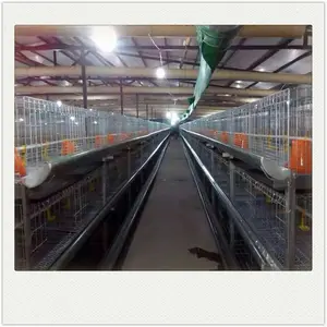 Wholesale Racing Pigeon Cage Pigeon Breeding Cage With Pigeon Accessories For Sale