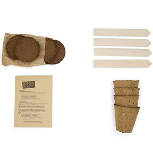 Biodegradable Flowerpot Kit Indoor Garden Bonsai <strong>Tree</strong> Planting Kit Creative Gift <strong>Box</strong> <strong>Planter</strong> - Product Image 4