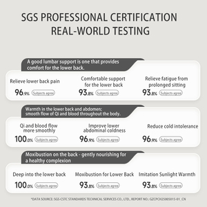 Appareil de Moxibustion Tech Love pour le Soulagement des Douleurs Lombaires – Thérapie Précise des Points d'<span class=keywords><strong>Acupuncture</strong></span> – Outil Traditionnel Chinois - Product Image 5