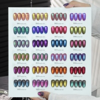 ZRKGEL Tpo Hema Free DANNY COLL 24 Couleurs Automne Hiver Multi Chrome Disco Cat Eye Gel Polish Vente en Gros Fournisseurs d'Ongles Gel d'Usine