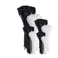 Attaches-câbles autobloquants RUNBO PA6, attaches-câbles en nylon robustes pour la gestion des câbles, accessoires électriques, câblage extérieur