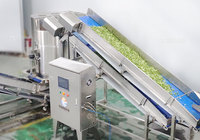 Geautomatiseerde lijn voor de verwerking van verse gesneden salade, was- en ontwateringsmachine voor bladgroenten voor commerciële verwerkingsbedrijven