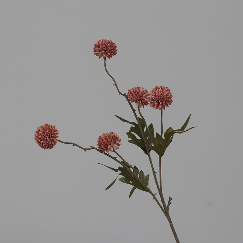 Autumn red