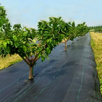 Toile géotextile anti-herbe en PP tissé stabilisée aux UV pour couverture agricole, rouleau de tissu noir, blanc, vert pour le contrôle des adventices et la protection des plantes