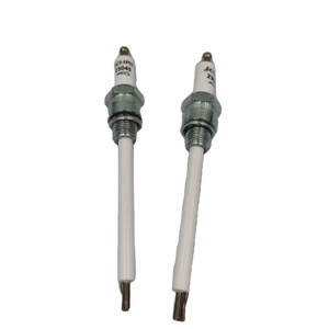 23045 1081869 39829 Tapa de alta presión, Electrodo de encendido, Sonda de detección, Detector de electrodo de enchufe para MAXON Stock - Product Image 1