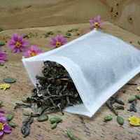 Sac filtre à thé avec cordon de serrage, utilisé pour le thé à feuilles mobiles, sac de thé vide en tissu non tissé écologique 13*18cm