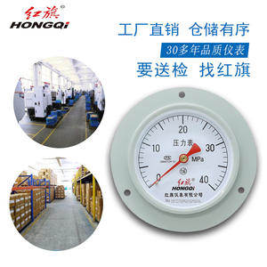 Manómetro Analógico HONGQI Y-100ZT 100MM Precisión 1.6 Conexión M20*1.5 Montaje Horizontal en Panel - Product Image 3