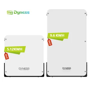 Dyness alimentazione a bassa tensione a parete 48v 200AH 10KW batteria lifepo4 akuu sistema di accumulo di energia domestica