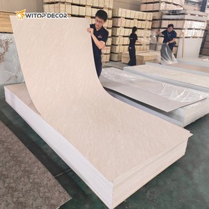 <span class=keywords><strong>UV</strong></span> ban PVC đá cẩm thạch lựa chọn thay thế không thấm nước <span class=keywords><strong>UV</strong></span> Panel tường cho trang trí nội thất - Product Image 6