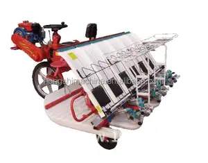 Máquina de siembra de arroz con empuje manual, plantador de semillas, transplantador de arroz, 4 filas, 6 filas