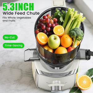 Exprimidores de Prensado en Frío - Exprimidores Masticadores con Boca de Alimentación Grande de 5.3'', Alto Rendimiento de Jugo de 300W, Dos Vasos de 800ml - Product Image 4