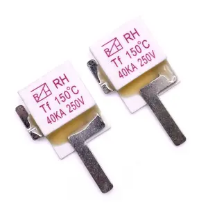 RH Square Type Electric Fan Thermal Cutoff Fuses 3A 5A 10A 20A 250V Epoxy Resin Coating Plastic Case for Electric Iron Stove