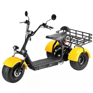 junior 3 wiel scooter Suppliers-Hot Sale Adult Fat Tire 3 Wielen Elektrische Motorfiets Elektrische Conversie Kit Offroad Snelheid Junior Zwarte Golf Citycoco 2000 W