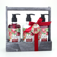 Coffret Cadeau de Luxe Hailida pour le Bain, Personnalisé, Parfum Grenade, Panier en Fil Métallique, Huiles Essentielles, Vente Chaude OEM, Fête des Mères