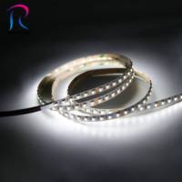 Nouvel éclairage LED Anti UV 4040 RGB RGBW LED Strip 24v 10mm High Lumens Flexible Led Strip Light