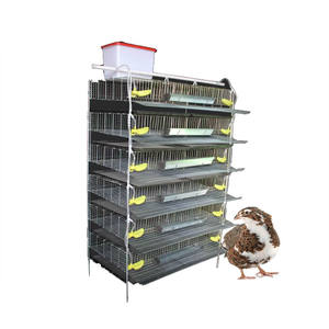 5 katmanlı bıldırcın kafesi keklik kuş kafesi - Product Image 5