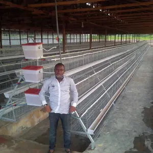 Factory direct sales of chicken coops and cages for poultry farms