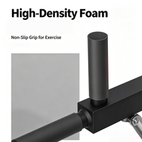 Barre de traction multifonctionnelle CZFIT pour la maison, support mural d'entraînement de force pour l'intérieur, rack de traction intérieur pour l'entraînement de force