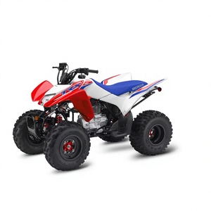 Quad ATV Premium 229cc, moteur OHV 4 temps refroidi par air, démarrage électrique, carburateur 22 mm, véhicule tout-terrain haute performance - Product Image 1