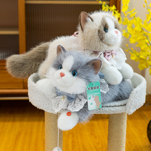 Peluche chat Ragdoll en forme de pull, simulation de qualité, <span class=keywords><strong>chaton</strong></span> mignon à poils longs, cadeau pour filles, amies, fêtes, vente en gros - Product Image 6
